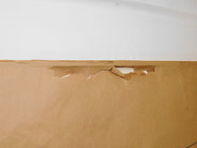 Load image into Gallery viewer, Cristiani Brothers Circus Big Wild Animals 1950s Poster FD Freeland FRAMED 35x29