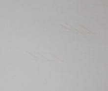 Load image into Gallery viewer, Spirit of the Rockies by Jim Jordan Great Northern 22.5 x26.5" Signed RailRd art