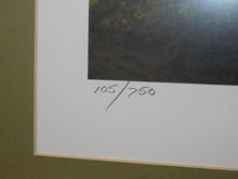 Load image into Gallery viewer, Texas State Railroad #500 Railroad art Framed John Winfield 105/750 signed #ed