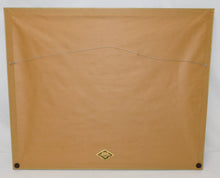 Load image into Gallery viewer, Texas State Railroad #500 Railroad art Framed John Winfield 105/750 signed #ed