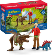 Load image into Gallery viewer, Schleich Dinosaurs #41465 Tyrannosaurus Rex Attack Set Baby Stegosaurus C-9 boxwear