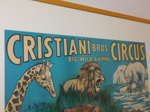 Cristiani Brothers Circus Big Wild Animals 1950s Poster FD Freeland FRAMED 35x29